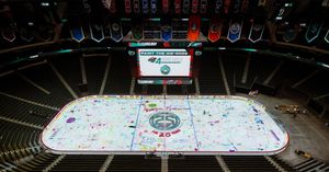 Image post by @minnesotawild on Instagram