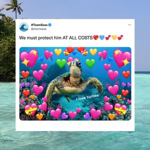 Image post by @teamtrees on Instagram