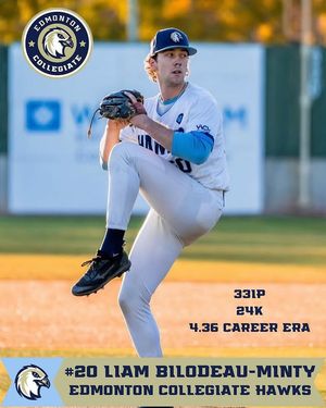 Image post by @echawksbaseball on Instagram