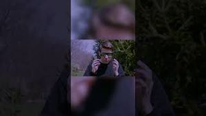Video post by @jacksportfolio on YouTube
