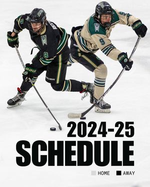 Image post by @bobcatshockey on Instagram