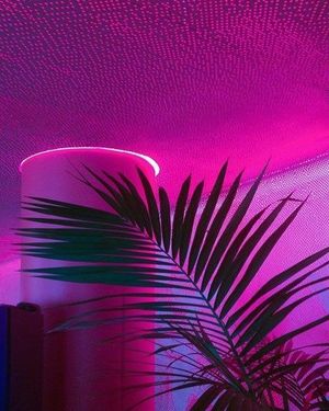 Image post by @higherdose on Instagram