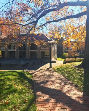 Image post by @ohio.university on Instagram