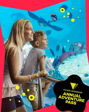 Image post by @seaworldaus on Instagram