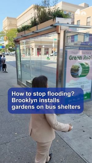 Image post by @nbcnewyork on Instagram