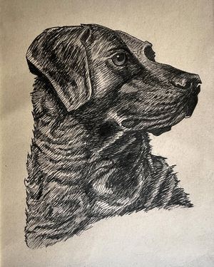 Image post by @kstevenson_art on Instagram