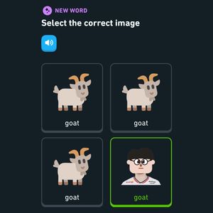 Video post by @duolingo on TikTok