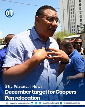 Image post by @jamaicagleaner on Instagram
