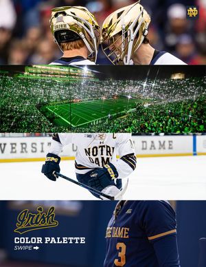 Image post by @thefightingirish on Instagram