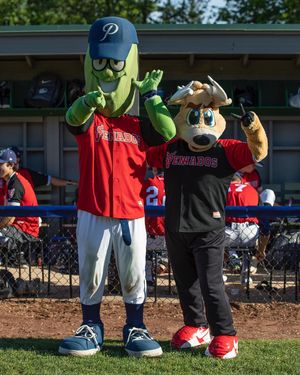 Image post by @picklesbaseball on Instagram