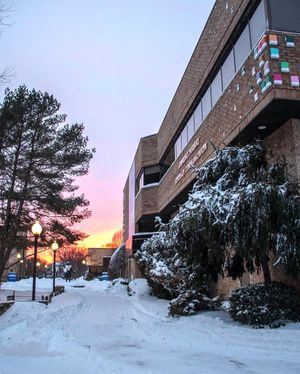 Image post by @hofstrau on Instagram