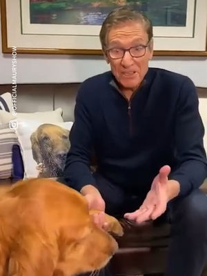 Video post by @usatoday on TikTok