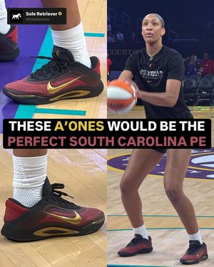 Image post by @soleretriever on Instagram