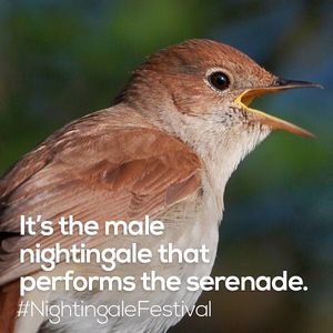 Image post by @rspb on Instagram