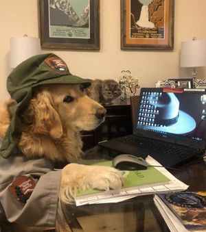 Image post by @nationalparkservice on Instagram