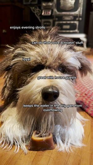 Video post by @disneyparks on TikTok