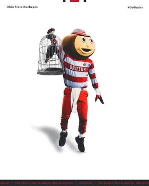 Image post by @Brutus_Buckeye on Twitter