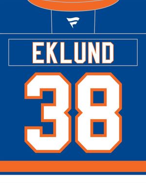 Image post by @nyislanders on Instagram