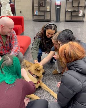 Image post by @oberlincollege on Instagram
