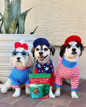 Image post by @charlee_bear_dogtreats on Instagram