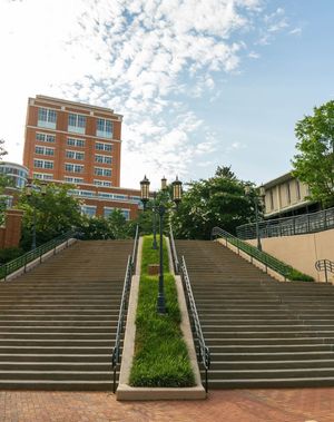 Image post by @unccharlotte on Instagram