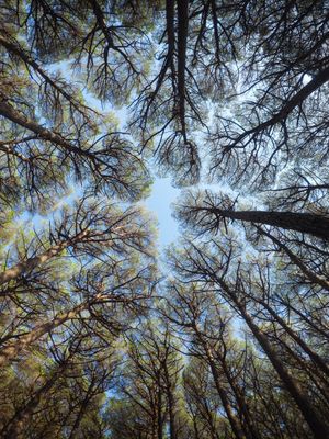 Image post by @gopro on Instagram