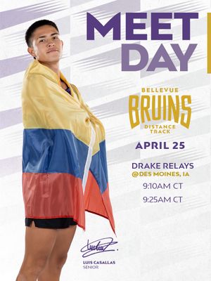 Image post by @bubruins on Instagram