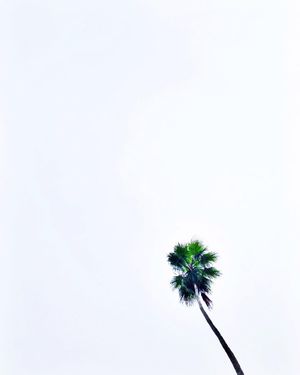 Image post by @ysann3 on Instagram