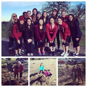 Image post by @stanfordgymnastics on Instagram