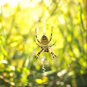Image post by @rspb on Instagram