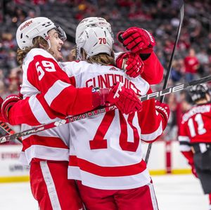 Image post by @detroitredwings on Instagram