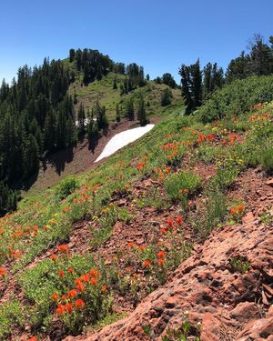 Image post by @pcski on Instagram