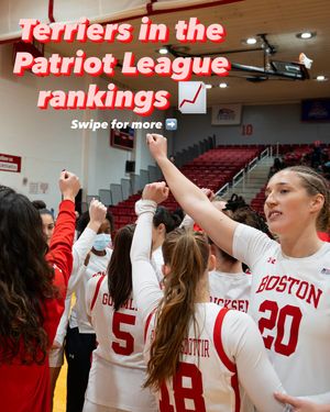 Image post by @terrierwbb on Instagram
