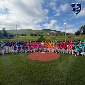 Image post by @littleleague on Instagram