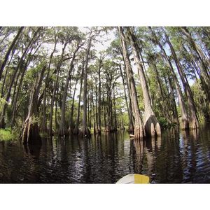 Image post by @fsucampusrec on Instagram