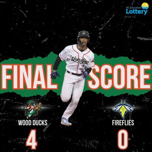 Image post by @GoWoodDucks on Twitter