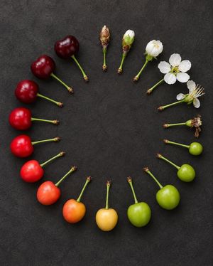Image post by @fubiz on Instagram