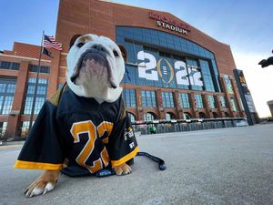 Image post by @TheButlerBlue on Twitter