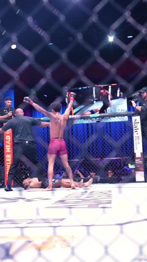 Video post by @ufc on TikTok
