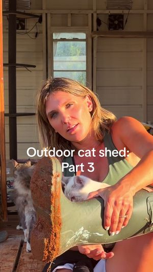 Video post by @emmaseabourn on TikTok