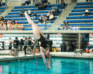 Image post by @oaklandswimdive on Instagram