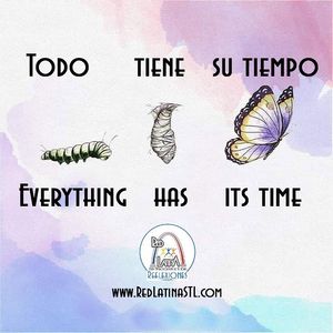 Image post by @redlatina on Facebook