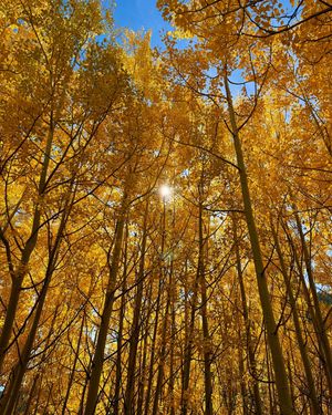 Image post by @9newsdenver on Instagram