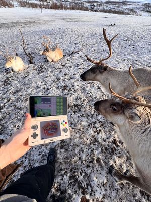 Image post by @inabber on Instagram