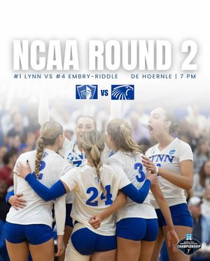 Image post by @lynnvolleyball on Instagram