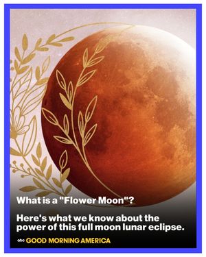 Image post by @goodmorningamerica on Instagram