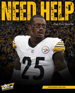 Image post by @steelernationcom on Instagram
