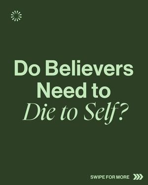 Image post by @drandrewfarley on Instagram
