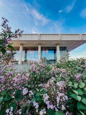 Image post by @unlincoln on Instagram