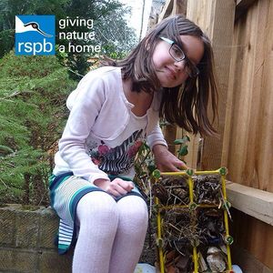 Image post by @rspb on Instagram